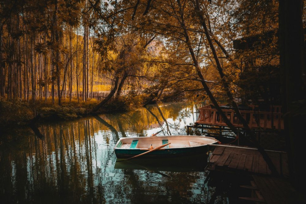 Ove nedelje posao će cvetati Ovnu i Biku, a evo koje znake čeka preokret u ljubavi